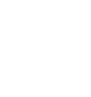 The Boujee Healer