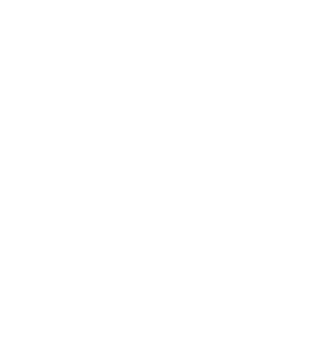 The Boujee Healer